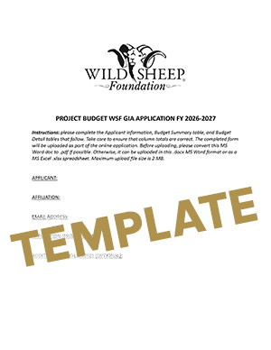 GIA Budget Template